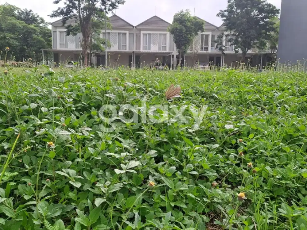 Dijual Murah Tanah Kavling Grand Pakuwon Surabaya. Cluster Canberra.