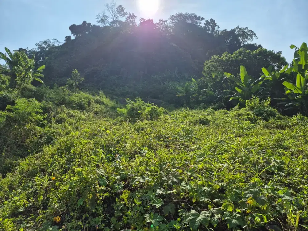 Tanah Gunung Batu Dekat Citra Garden Teluk Betung Bandar Lampung