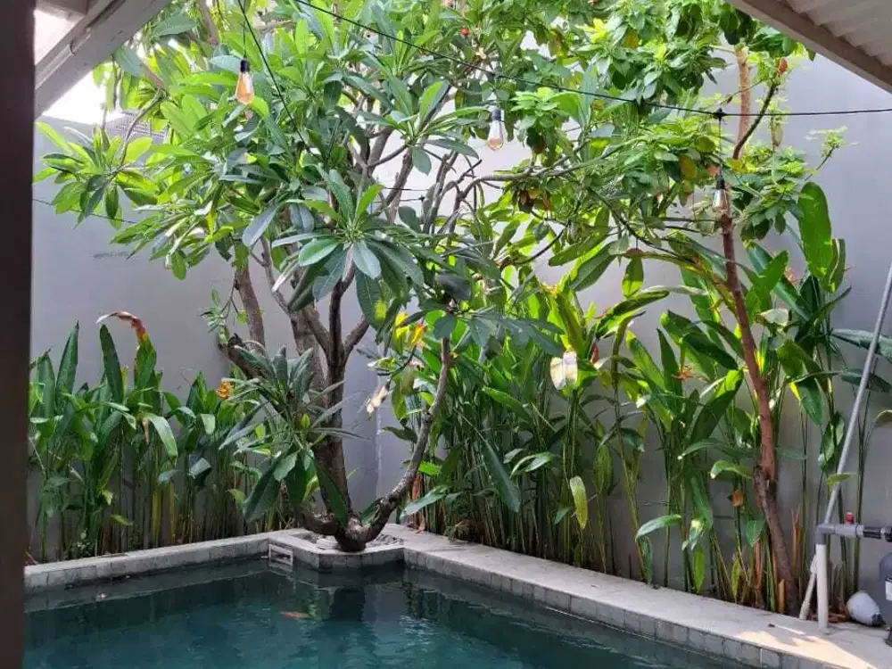 Rumah murah dengan kolam renang di citraland dekat gwalk