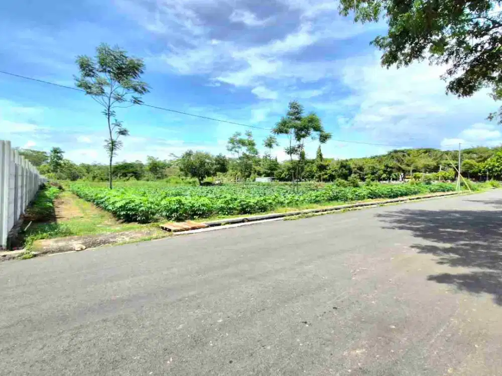 Rumah Bagus Luas Tengah Kota Solo Mangkubumen Banjarsari