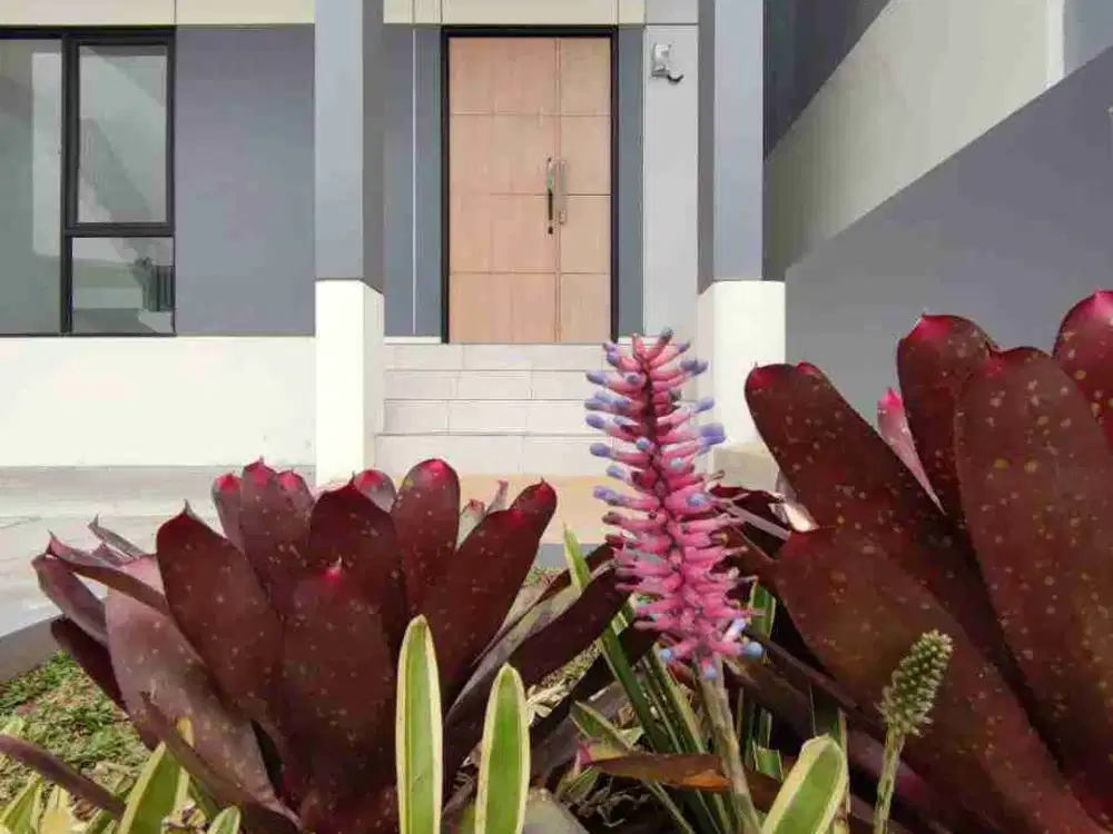 Rumah baru 2 lantai dekat jl utama ubertos ujungberung bandung