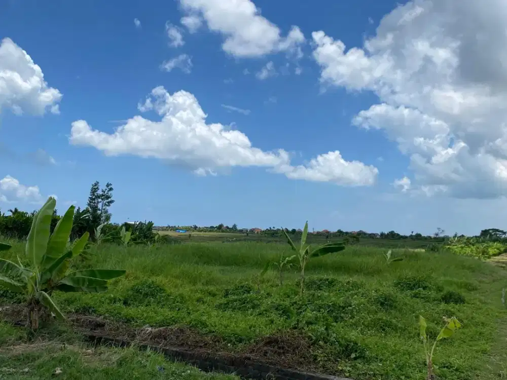 DIJUAL TANAH STRATEGIS DI CANGGU BADUNG BALI