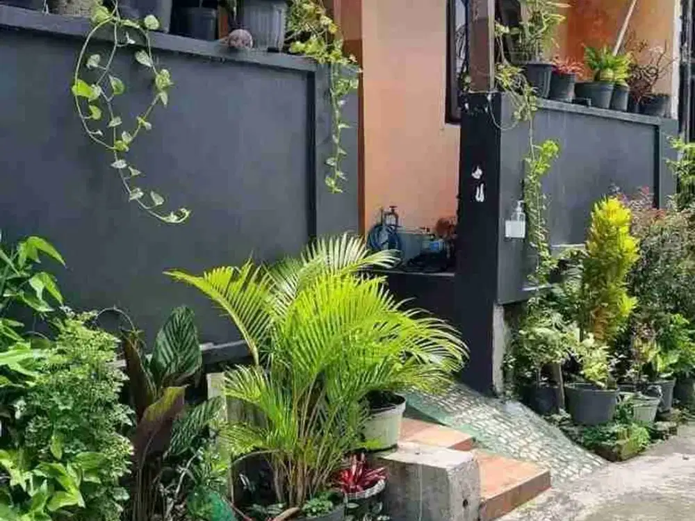 DIJUAL RUMAH MURAH SIAP HUNI DI PERUM KOTA BARU DRIYOREJO GRESIK