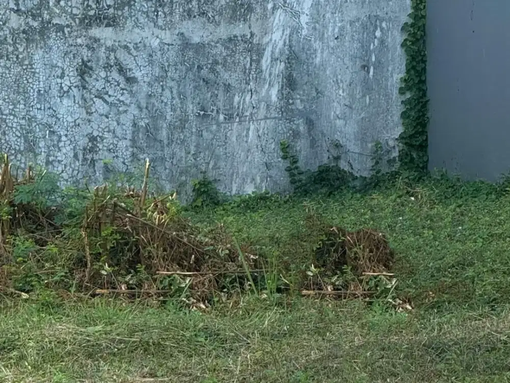 Tanah Siap Bangun Palm Beach Pakuwon City