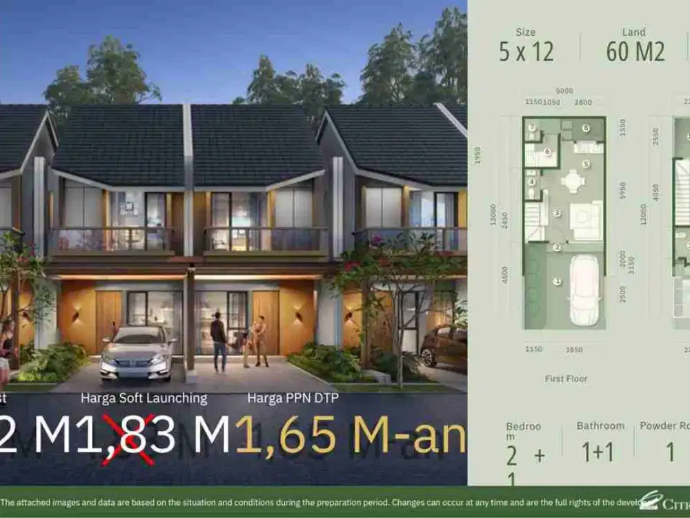 cedar 5 THE FORESTIN