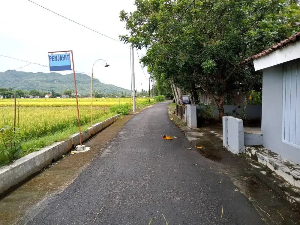 Tanah Pekarangan View Persawahan dekat Jalan Parangtritis