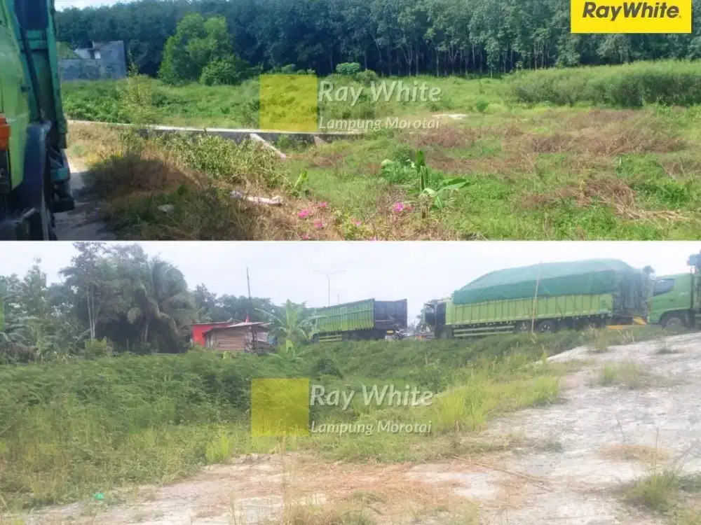 Dijual Tanah di JL. Jalur 2 Ryacudu, Jati Agung, Bandar Lampung (Kode: YOK HRO 3376)