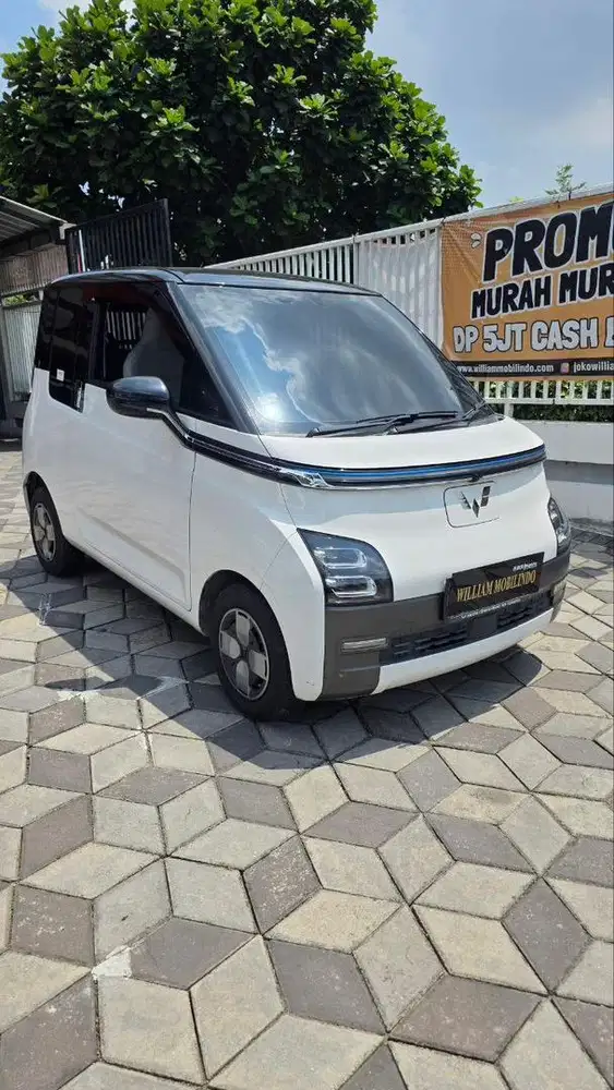 Wuling Air ev long range 300 km 2023