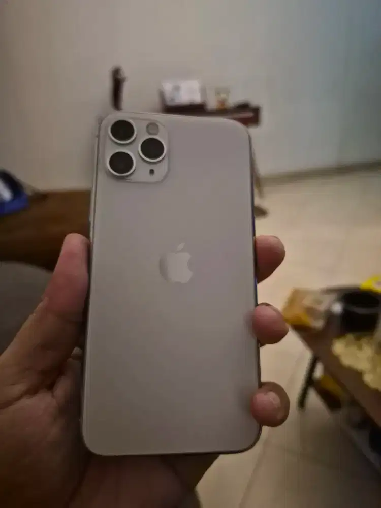 Iphone 11 pro 256 gb inter fullset mulus