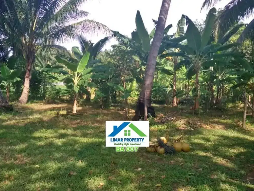 Tanah Luas Pinggir Jalan Raya Hadap Pantai Harga Bagus di Carita