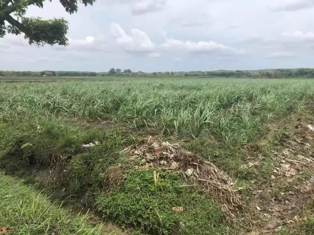 Tanah Strategis Untuk Industri, Jombang, Jawa Timur