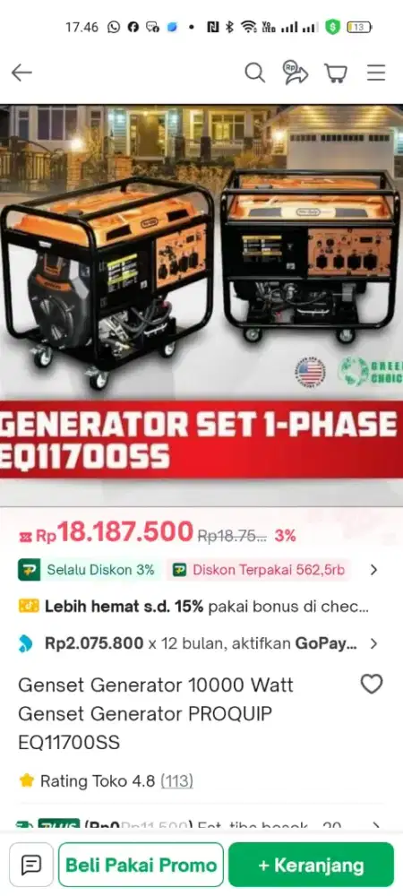 Genset 10.000watt