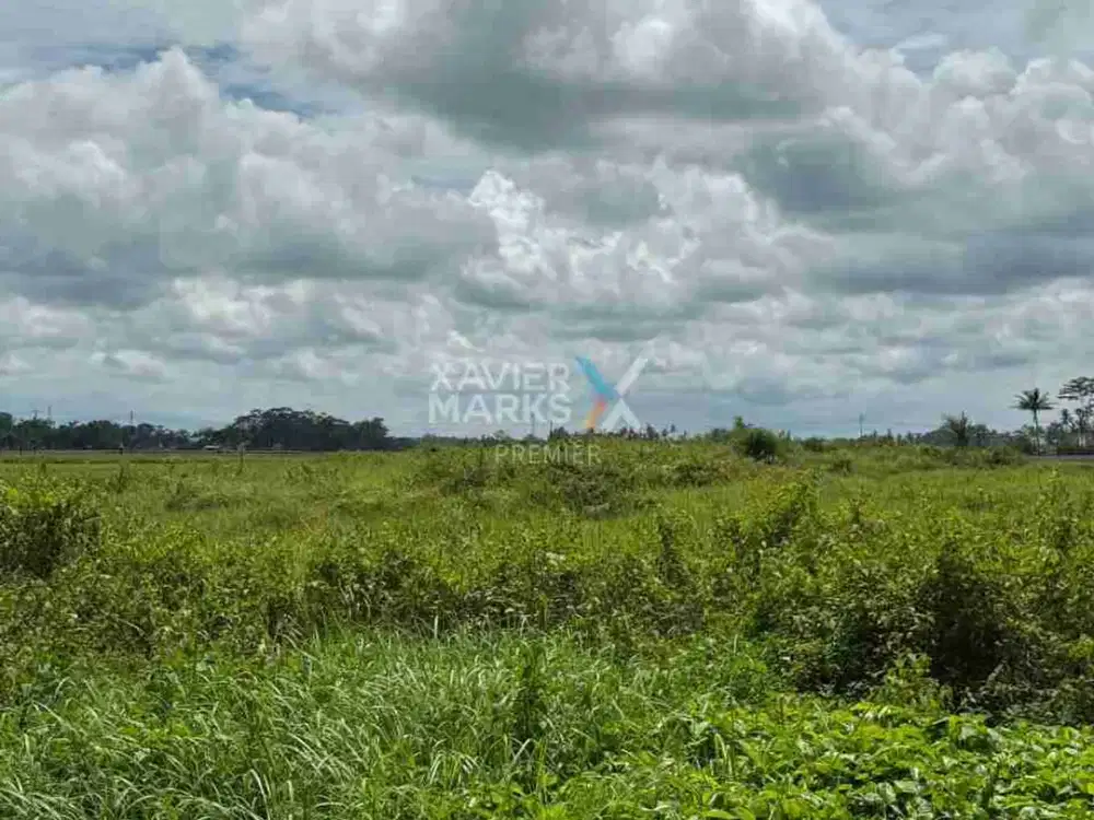 Dijual Tanah Luas Di Jalan Raya Pepen Mojosari Kepanjen Kabupaten Malang