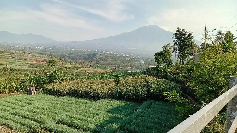 Sewa villa batu top view istimewa hadap sawah gunung