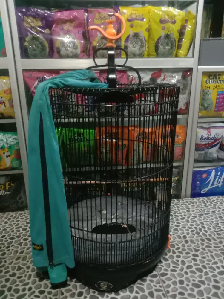 Kandang murai Ebod jaya no 3 fulset krodong kopral 550 k pdk aren