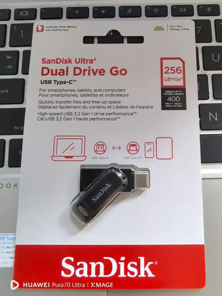 SanDisk Dual Drive Go 256GB