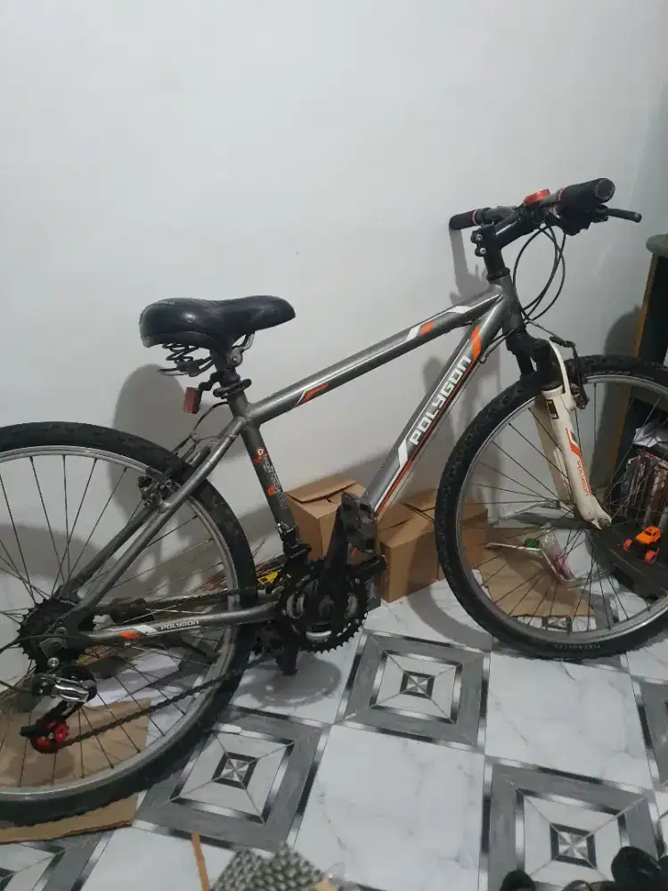 Sepeda Polygon Monarch 3