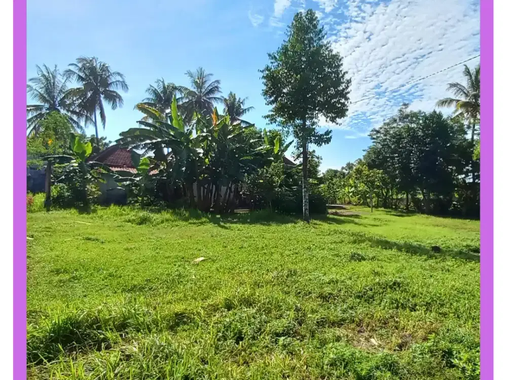 Tanah Murah Siap Bangun Gamping Sleman Siap Ajb SHM Pekarangan