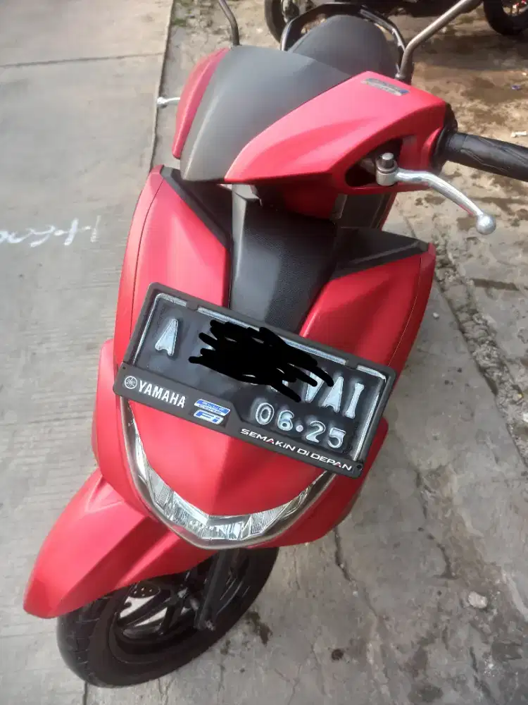 Jual FreeGo Keyless 2020