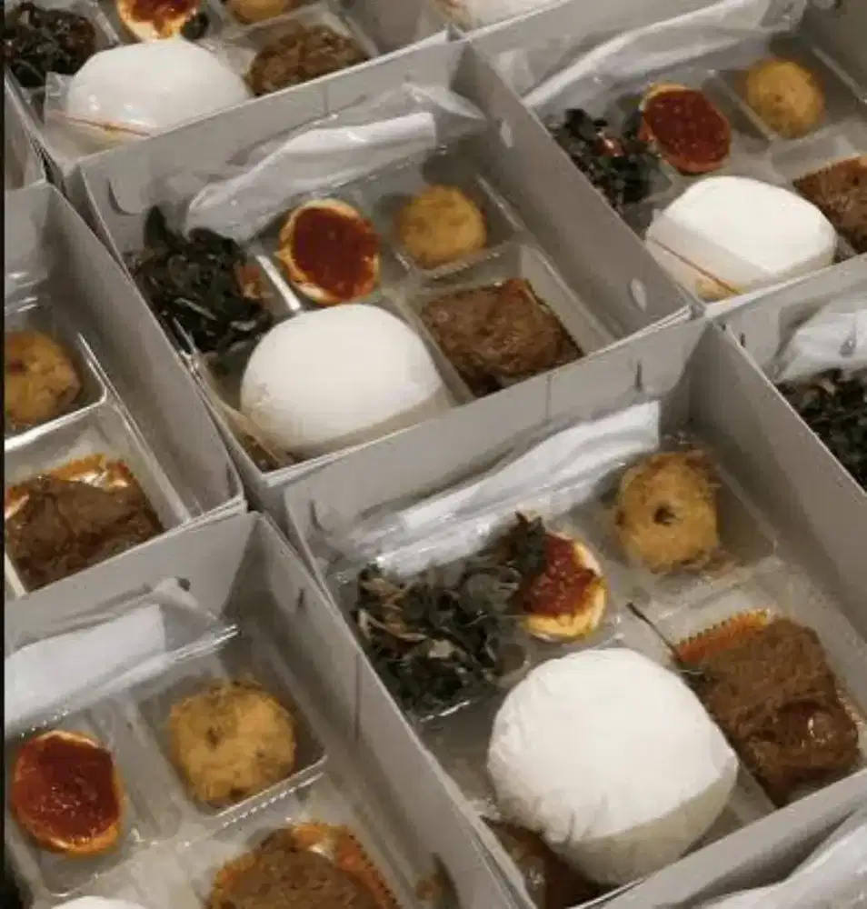 NASI KOTAK .DAN LAINYA