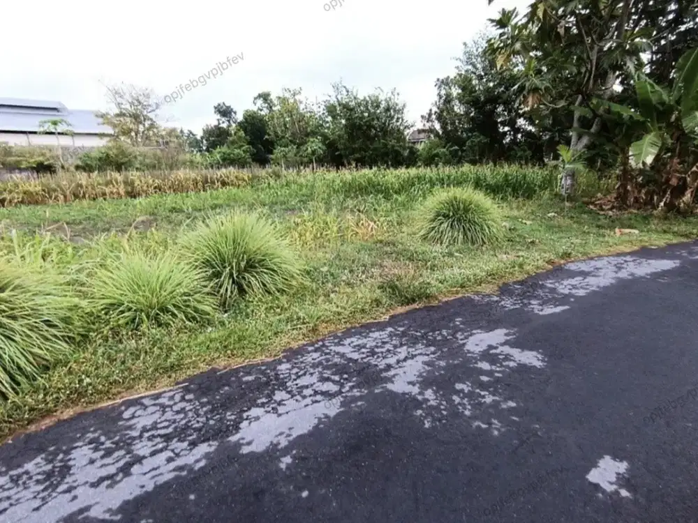 Tanah SHM 177m², Lebar Depan 8.5m Dekat Pasar Rejodani Sleman