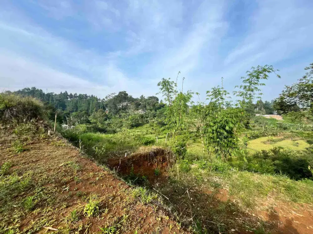Tanah sangat murah kawasan wisata puncak bogor