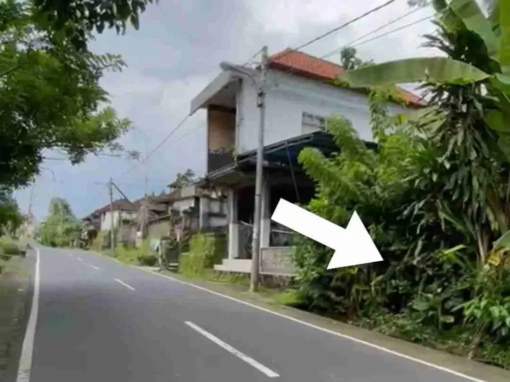 Tanah Zona Campuran di Area Wisata Bongkasa