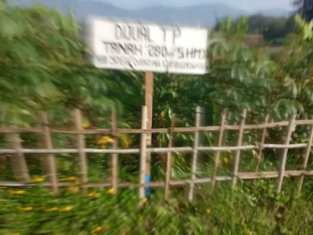 Dijual Cepat Tanah Di Tanjungsari Kabupaten Sumedang