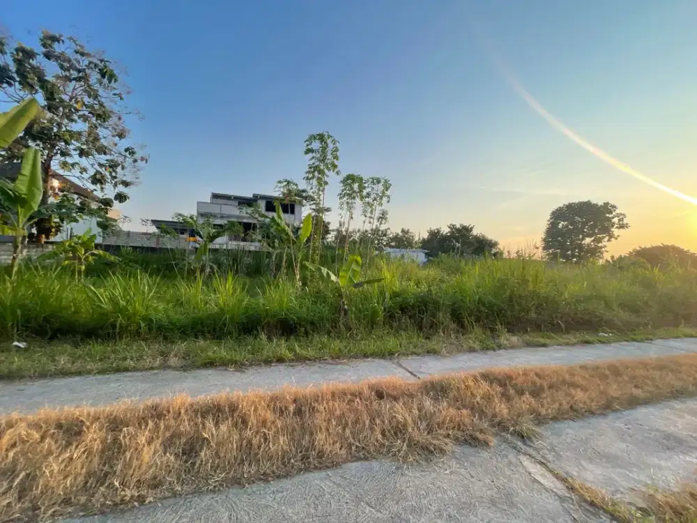 DIJUAL TANAH JL PALAGAN 50meter dari jalan utama