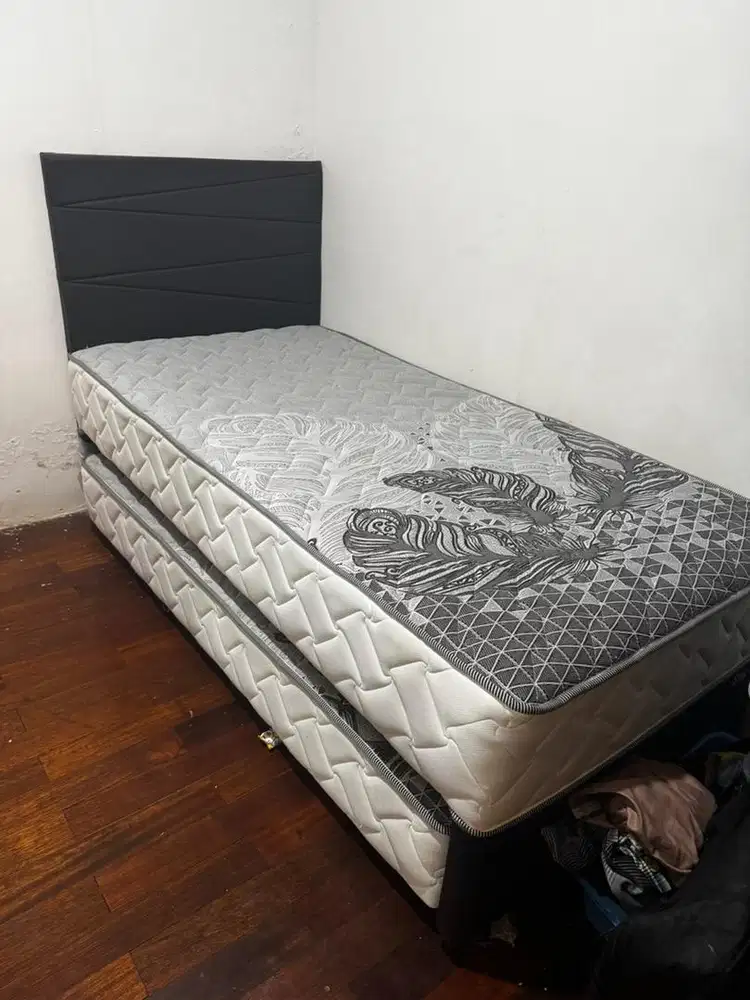 springbad comforta 2in1 star family