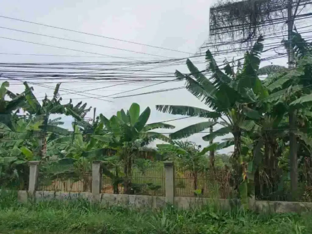 Tanah Dijual di Ciangsana Pinggir Jalan Raya Lokasi 
Strategis