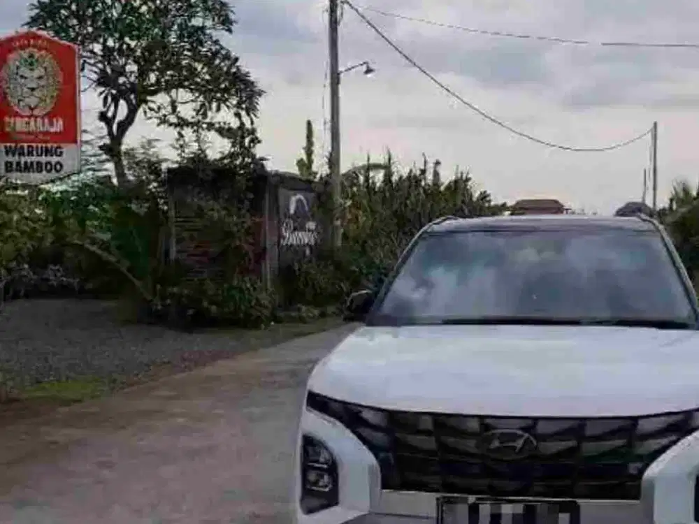 Jual Tanah LC 4,5are cck utk Cafe di ir sukarno dekat rs. Puri Bunda Tabanan