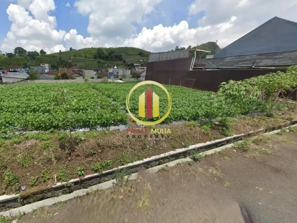 Murah! Tanah Datar Cocok untuk Rumah Tinggal atau Villa Di Lembang Bandung