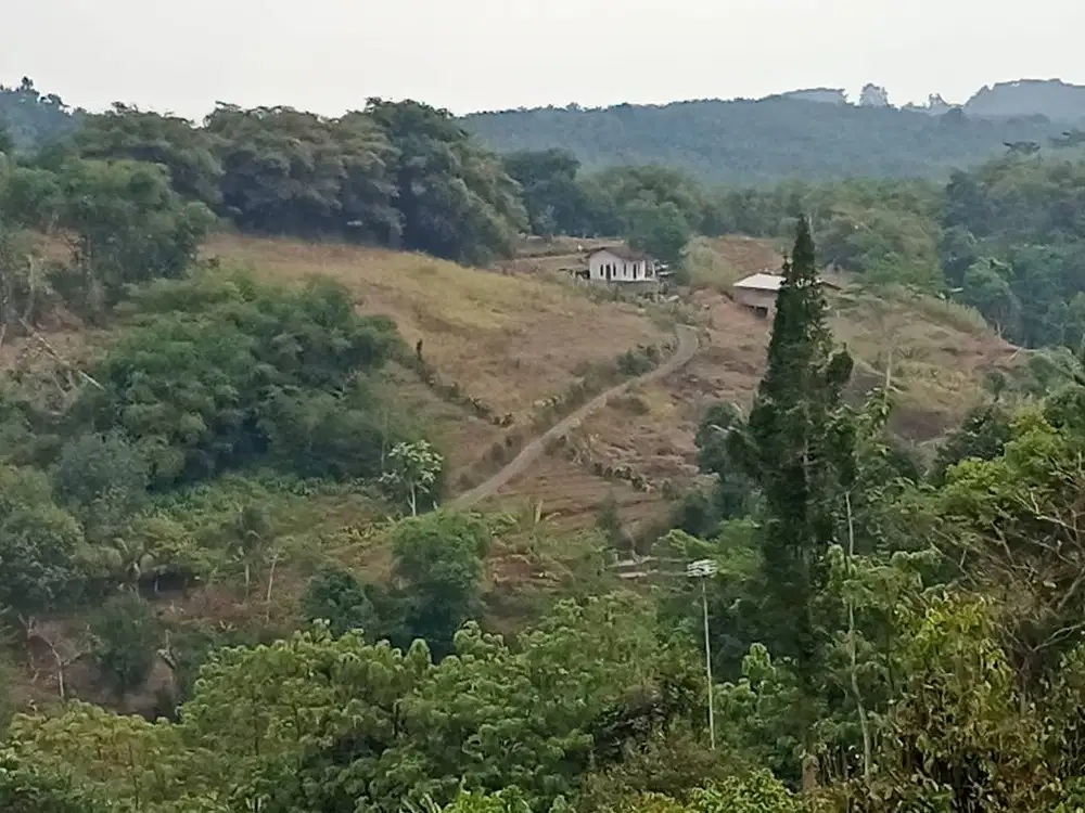 DIJUAL MURAH – LAHAN TANAH PERBUKITAN SEJUK & SUBUR DEKAT EXIT TOLL