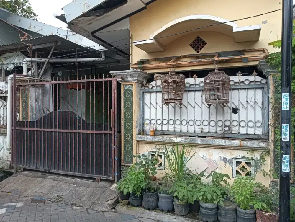 DIJUAL KOST 6 KAMAR TANPA PERANTARA DI SIDOARJO, NEGO!