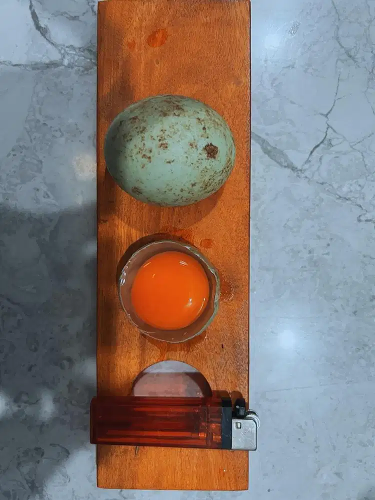 Telur Bebek Omega Ternak Kandang Pakan Kualitas Hasil uji Lab