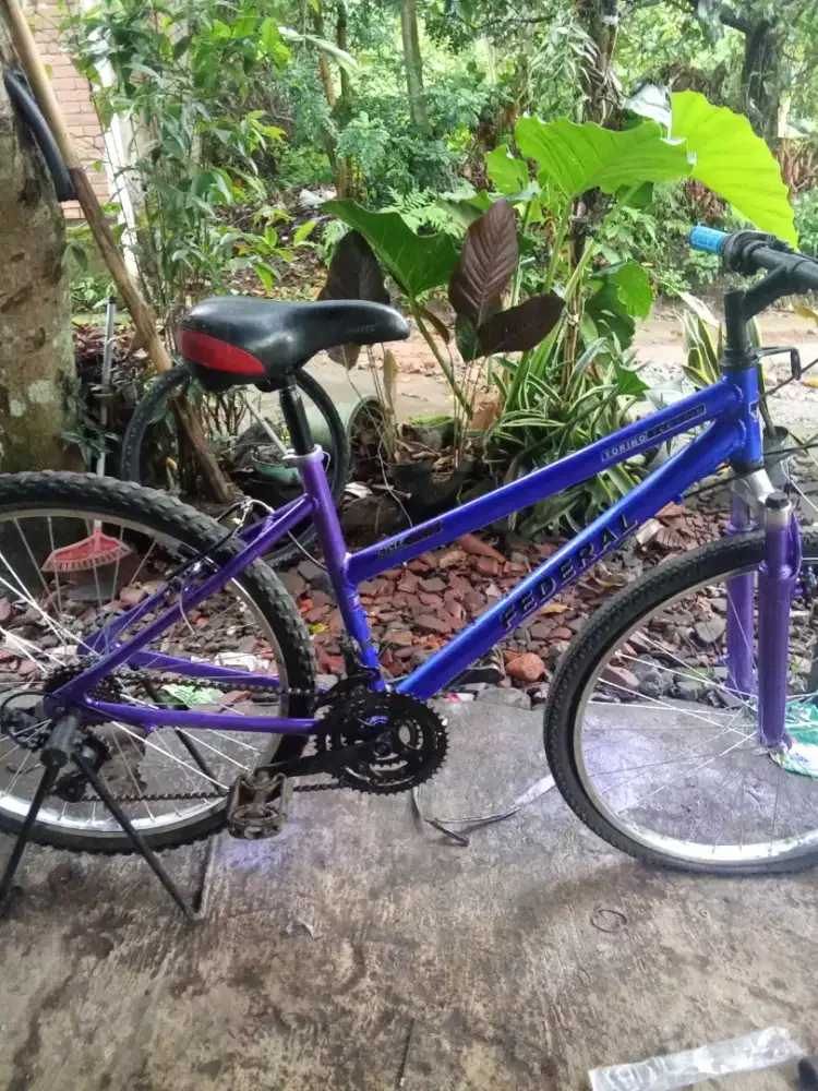Comuter bike 26 sise 17
