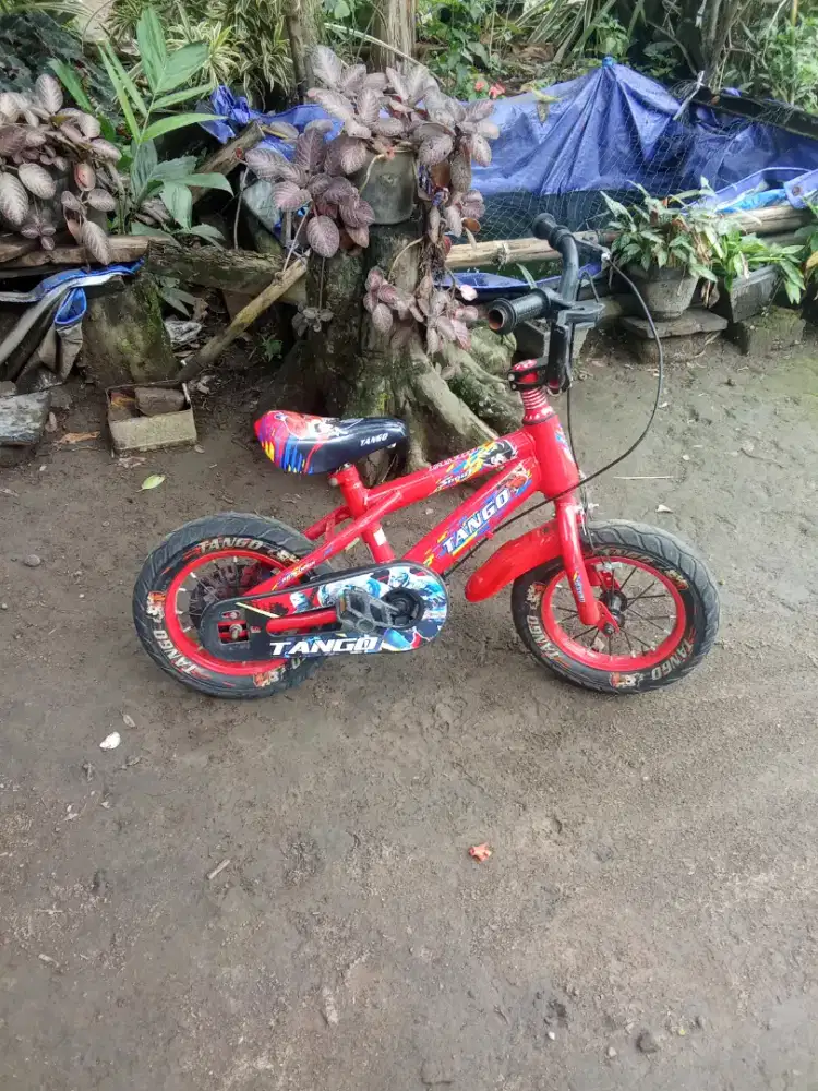 Like new 12 San tango