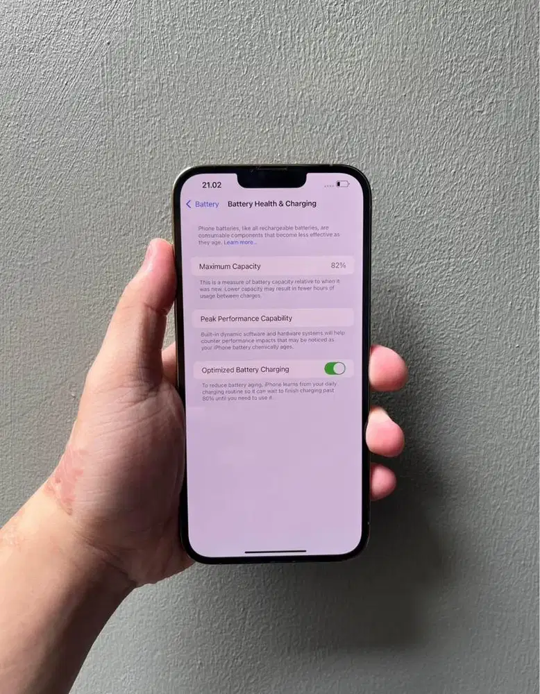 iphone 13 pro max inter 256 gb
