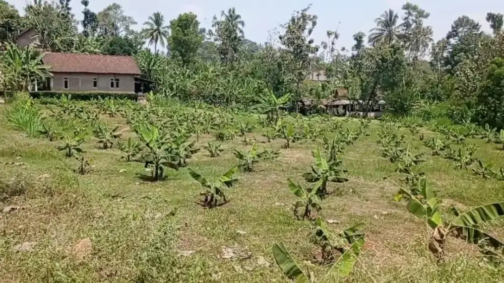 Lahan  potensial kawasan wisata