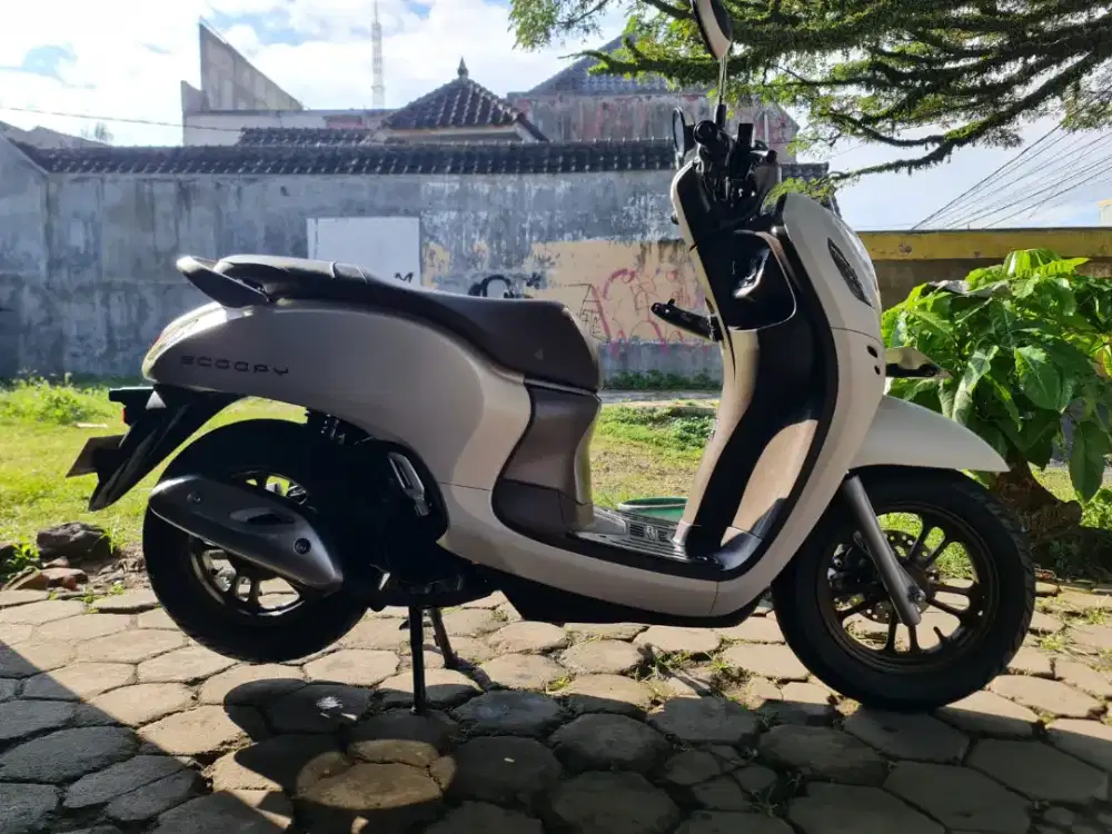 Honda scoopy prestige