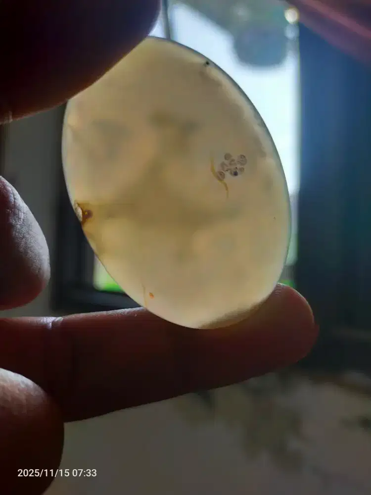 Jual batu motif binatang