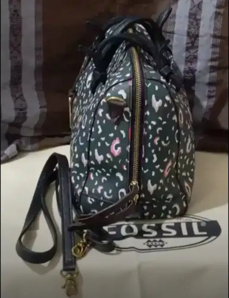 Rare Fossil authentic