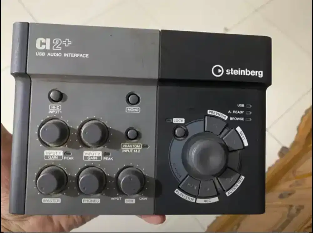 Stainberg c2+ normal