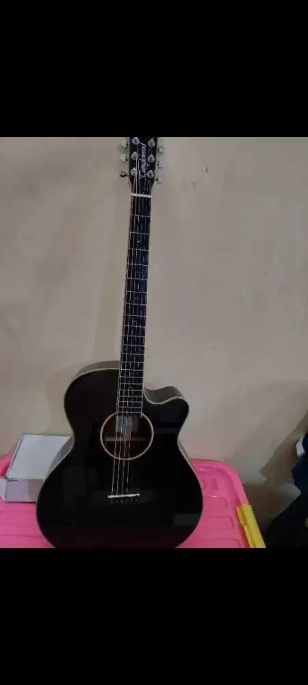 Tanglewood TW4 E BS Winterleaf Black Shadow Gloss