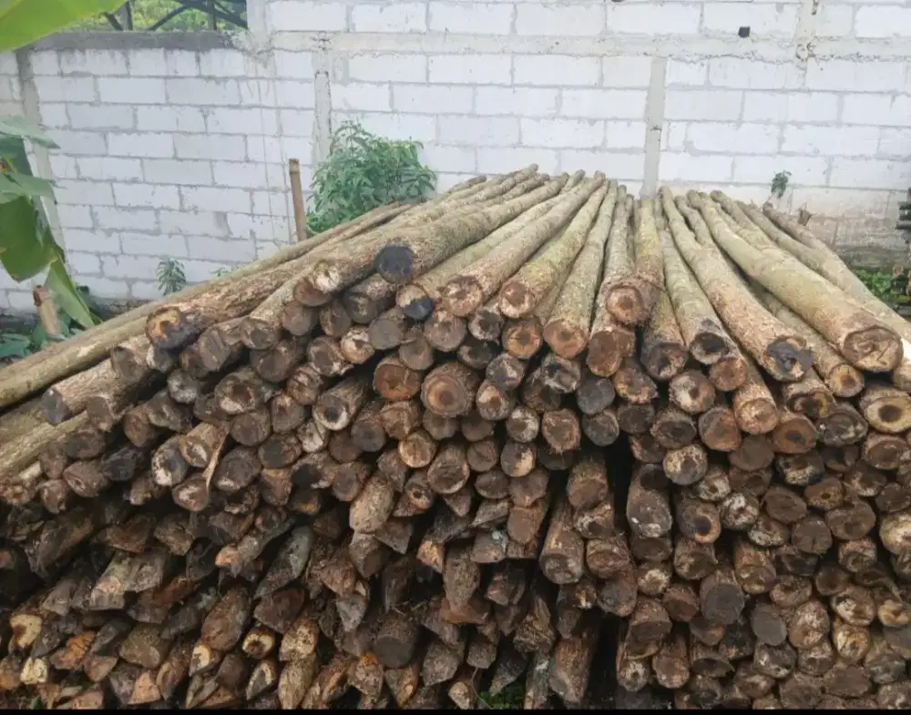 Kayu dolken lokal 8/10