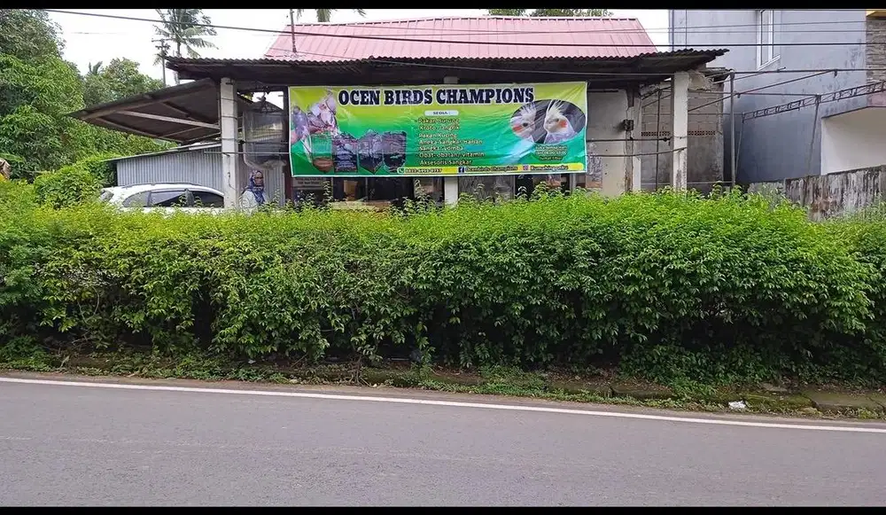 jual usaha toko burung dan sangkar dan aksesoris lainya