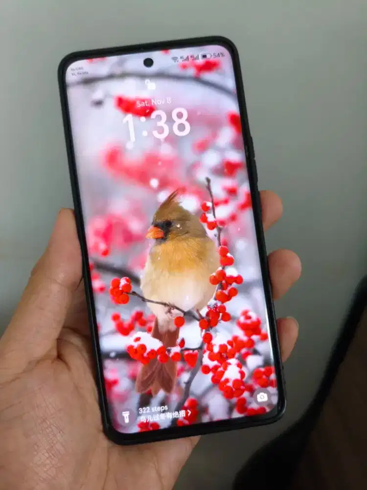 HP Langka Honor X50 12/256