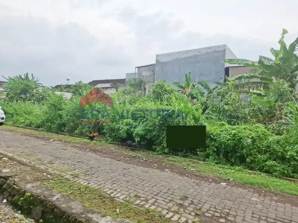 Tanah Kavling Premium Lokasi Inti Singosari Dekat SMAI Almaarif & Jalur KEK