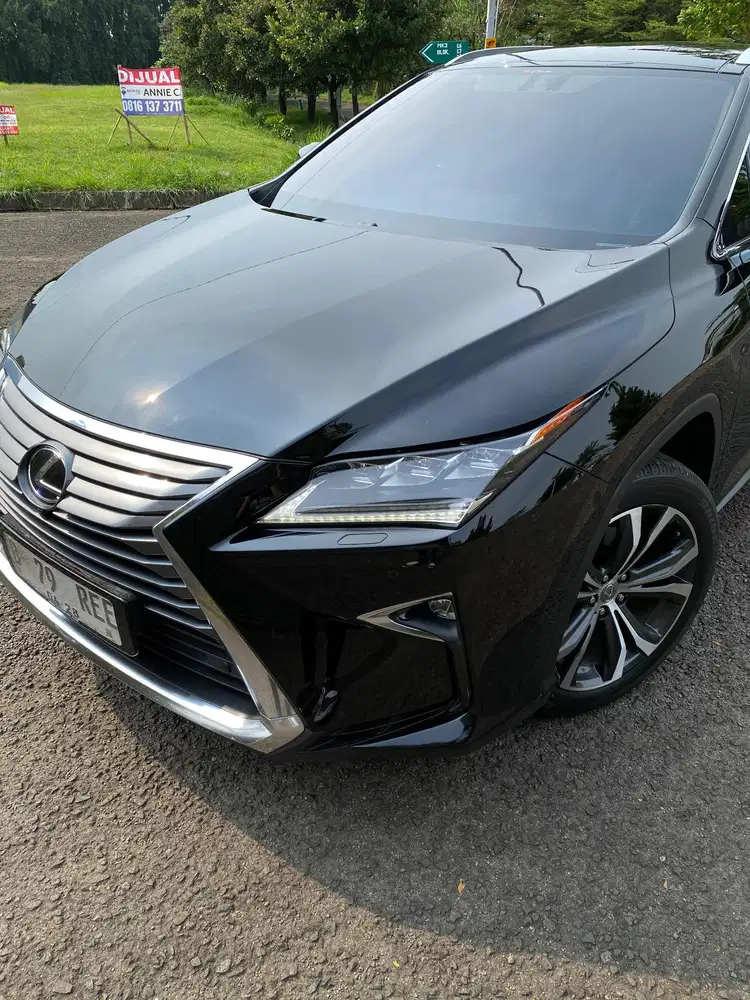 Lexus Rx200t Luxury At 2017